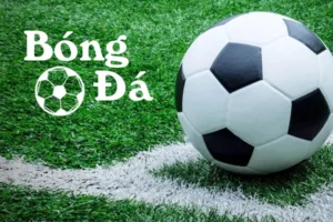 Tiếp Cận Khái Niệm Bóng Trong Cuộc Và Bóng Ngoài Cuộc Thực Tế
