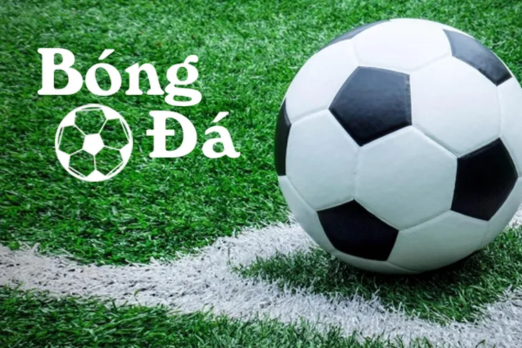 Tiếp Cận Khái Niệm Bóng Trong Cuộc Và Bóng Ngoài Cuộc Thực Tế