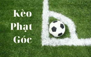 Cách Chơi Kèo Phạt Góc Bóng Đá Chuẩn Xác Và Hiệu Quả Cho Người Mới