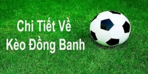 Cách Chơi Kèo Đồng Banh Hiệu Quả Cho Người Mới Tham Gia Cá Cược Bóng Đá