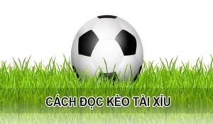 Cách Chơi Kèo Tài Xỉu Hiệp 1 Hiệu Quả Với Phân Tích Tỷ Lệ Chuẩn Xác