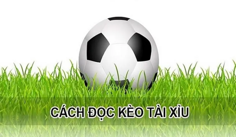 Cách Chơi Kèo Tài Xỉu Hiệp 1 Hiệu Quả Với Phân Tích Tỷ Lệ Chuẩn Xác