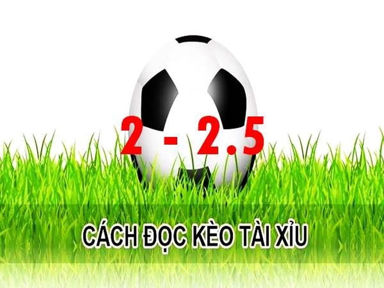 Cách Chơi Kèo 2.25 Hiệu Quả Và Mẹo Đọc Chuẩn Xác Tỷ Lệ Thắng Cược