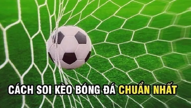 Cách Chơi Kèo Rung Trong Bóng Đá Hiệu Quả Cho Người Mới